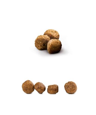 Happy Dog Fit & Vital Mini Adult 4 Kg - Buy Online on GoSupps.com