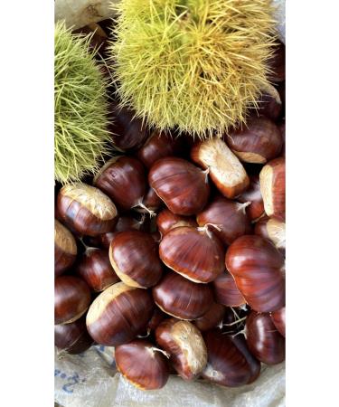 zt rk local products trade Chestnut 500gr