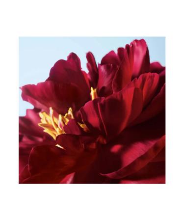 Yves Rocher Ultra Nourishing Shining Glow Lipstick Nourishes and moisturizes lips! 3.5 g - Buy Online on GoSupps.com