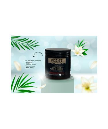 Point Anti-Breakage and Anti-Fall Collagen Hair Mask. Hairdresser