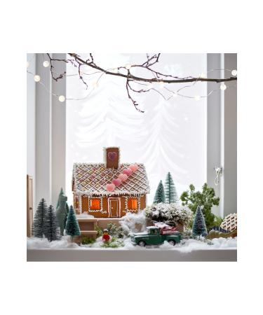 IKEA V ntersaga Big House Shaped Gingerbread Cookies 300 Gr - Buy Online on GoSupps.com