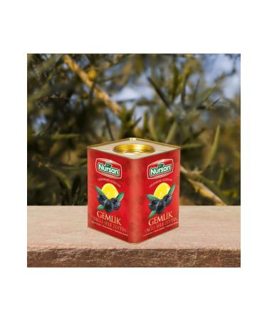 Nursan Food Super 2 Olives 4 Kg