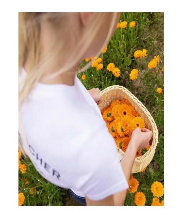 Yves Rocher Cleansing Milk - Anti-Wrinkle Pur Calendula Nourishing for Mature Skin - Prebiotic - Buy Online on GoSupps.com