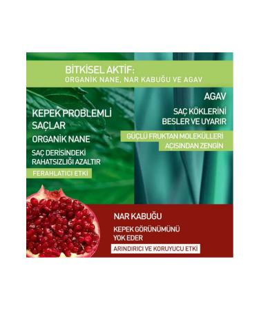 Yves Rocher Prebiotic Shampoo Anti-Dandruff Pelliculaire Pomegranate Peel Organic Mint and Agave 300 ml - Buy Online on GoSupps.com