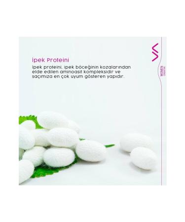 VASSO WOMEN Silk Protein Shine and Vitality Shampoo for Dyed Hair - Color Magnetic 1500ml - Buy Online on GoSupps.com