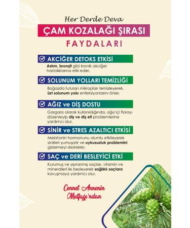 heaven mother's kitchen Pine Cone Syrup Wood Fired Additive-Free (less Sugar) 660 Cc - Buy Online on GoSupps.com