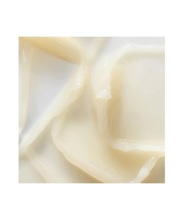 Kiehl's Brightening and Skin Tone Equalizing Water-Based Moisturizing Cream for Combination Skin Types 28 ml - Buy Online on GoSupps.com