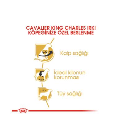 Ali The Stereo Royal Canin Cavalier King Charles Adult Dog Food 1.5 Kg alithestereo