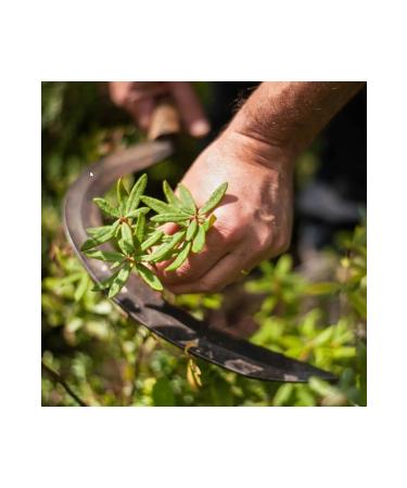 Yves Rocher Made in France Zinc & Herbal Salicylic Acid Allantoin 40 g - Buy Online on GoSupps.com