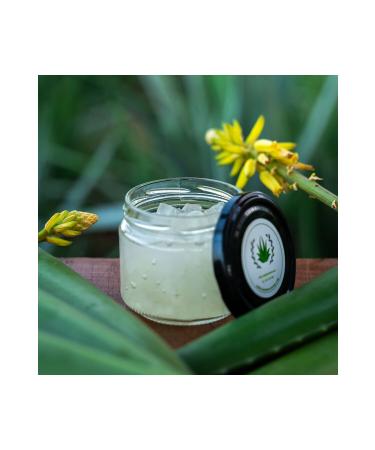 MEDITERRANEAN ALOE VERA Aloe Vera Gel - 210ml - 100% Natural