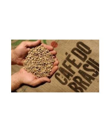 bevo Brazil Rio Minas Es Nicchio Sobrinho Arabica Raw Coffee Beans 1 kg