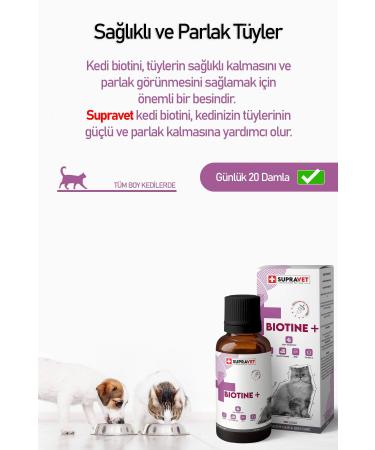 Supravet Set-2 Mother Kitten Malt Paste 100 Gr + Biotine Hair Loss Prevention Drops 100 Ml - Buy Online on GoSupps.com