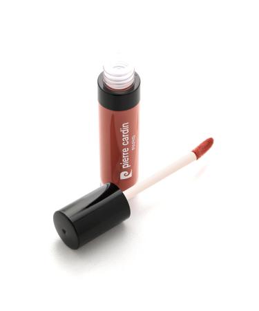 Pierre Cardin Staylong Lipcolor-Kissproof Long Lasting Lipgloss-5 ml-Earth--353 - Buy Online on GoSupps.com