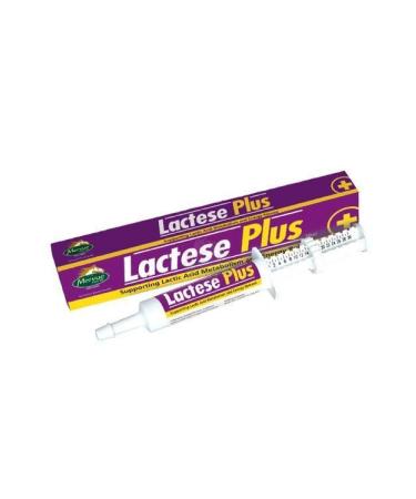 mervue Equine Lactese Plus 30 ml