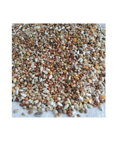 Uludag Pea-free Super Mixed Pigeon Food 10 kg - Buy Online on GoSupps.com