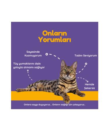 Supravet Hairball Malt Paste Anti-Hairball Malt Paste for Cats 100 gr - Buy Online on GoSupps.com