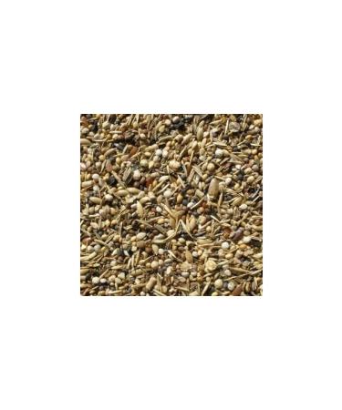 Almond Aquarium Health Seed Bird Food Wild Health Seed 500 grams