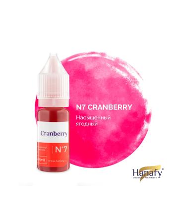 HANAFY Permanent Makeup Pigments American Pigment Russian Origin