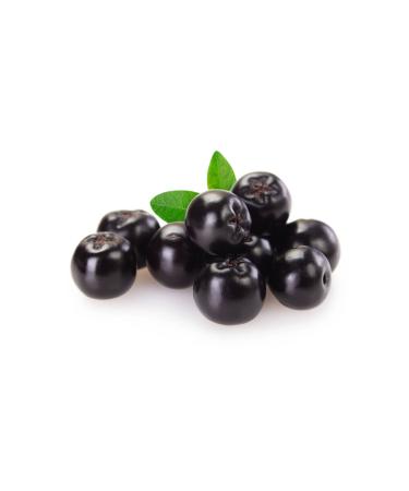 BAZAAR 4 Aronia Fruit - Aronia Dried 675 gr - Buy Online on GoSupps.com