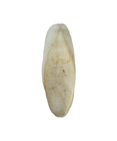 Eva Squid Bone for Birds 1 Piece Xl White