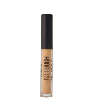 Golden Rose Just Touch Liquid Concealer-07