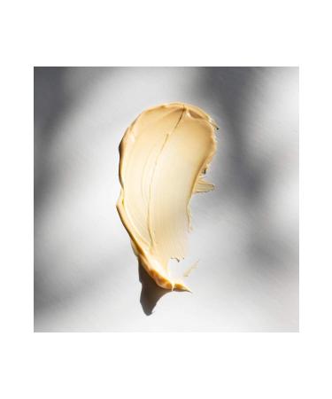 Dermalogica Multivitamin Power Recovery Masque Nourishing Moisturizing and Anti-Aging Mask 75ml - Buy Online on GoSupps.com