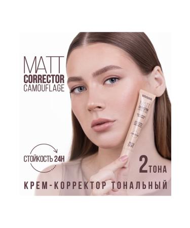 LUXVISAGE COSMETICS Matt Corrector Camouflage 110 Light - Buy Online on GoSupps.com