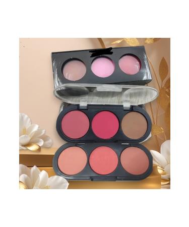 MT MAKE UP COVER 9 Different Color Blush