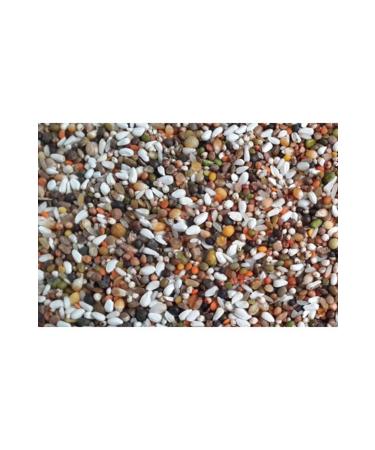 Almond Aquarium Pigeon Food Mixed Pigeon Food Lux Economic 10 Kg