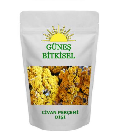 Gunes Herbal Yarrow New Crop Female 5 Bunches Large Size