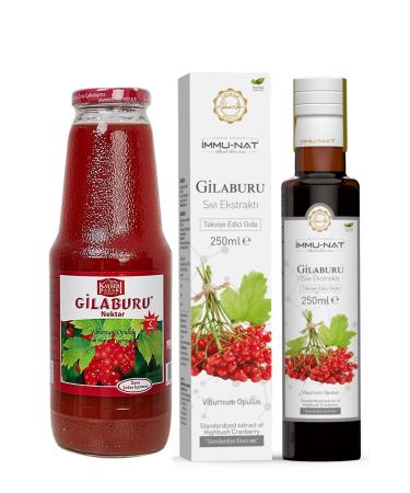 Immu-Nat Gilaburu Liquid Extract 250 ML + Kayseri Pazari Gilaburu Nectar No Sugar Added 1 L