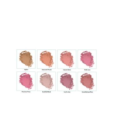 Clinique Blushing Powder Blush 120 Bashful Plum 6 g 020714251055 - Buy Online on GoSupps.com