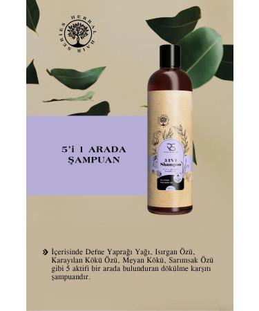 rise and shine 5 in 1 shampoo 400 ml - Buy Online on GoSupps.com