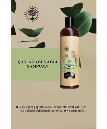 rise and shine Tea Tree Oil Shampoo 400 ML - Buy Online on GoSupps.com