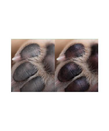 Stylish exculusive pet cosmetics Paw Cream for dogs and cats 100 gr - Buy Online on GoSupps.com