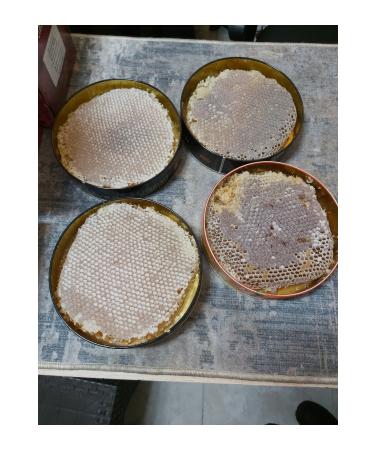 Lion Karakovan honey 1 kg