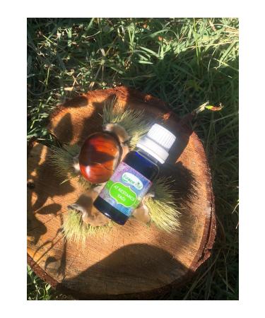 Europe Vital Horse Chestnut Oil 20 Ml