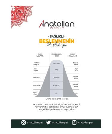 Anatolian Premium Sterilized Lamb Lamb Sterilized Cat Food 2 Kg - Buy Online on GoSupps.com