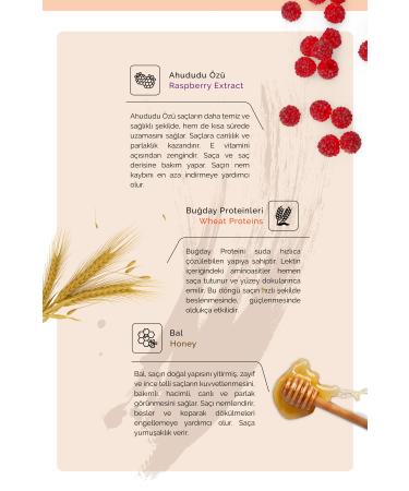 Native Base Hair Dye 1517 Super Ash Violet Blonde 100 ml - Buy Online on GoSupps.com