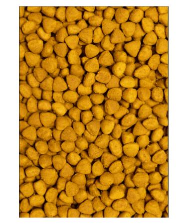 Psittacus PSITTACUS HIGH ENERGY PRODUCTION 12 Kg - Buy Online on GoSupps.com