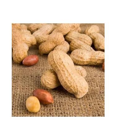 SNACKS Unsalted Roasted Peanuts in Shell 1kg