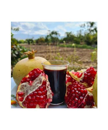G LEN LOCAL FOOD Hatay Homemade Pomegranate Syrup 1 KG
