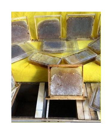 Comb Honey in Mica Cut from Local Bozda Lath - 1000gr - Buy Online on GoSupps.com