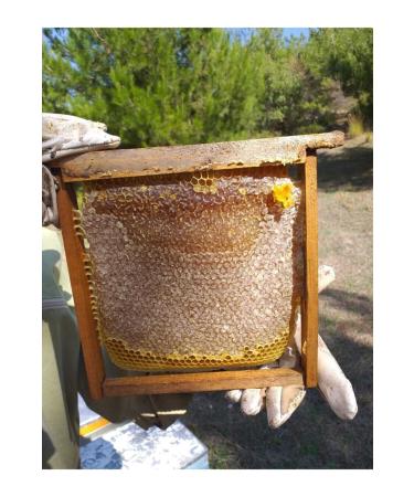 Comb Honey in Mica Cut from Local Bozda Lath - 1000gr - Buy Online on GoSupps.com
