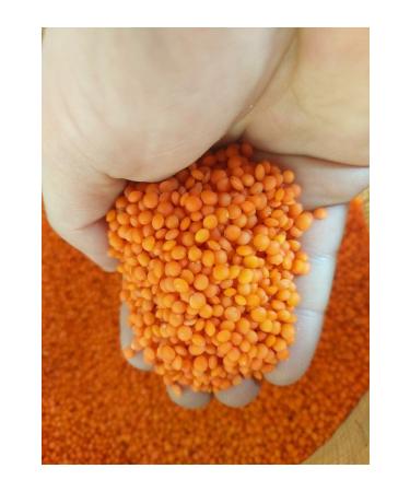 irfan bakliyat Village Bulgur 1 Kg Rice 1kg Green Lentil 1 Kg Red Lentil 1 Kg (Village Product) (Natural) - Buy Online on GoSupps.com