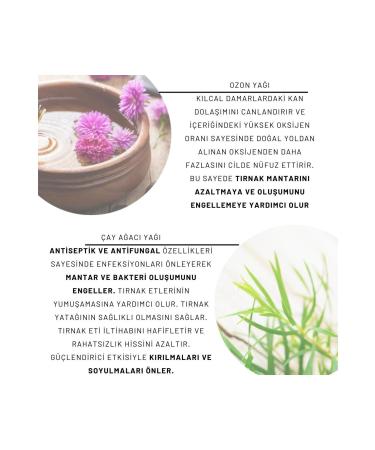 Hill Cosmetic Nail Growth Strengthening Care Oil Nail Care Oil - Buy Online on GoSupps.com