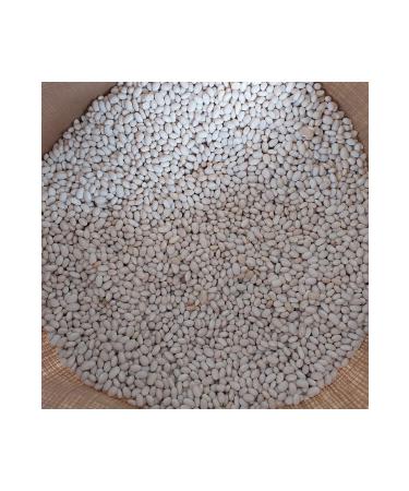 irfan legumes dry beans 3kg - Buy Online on GoSupps.com