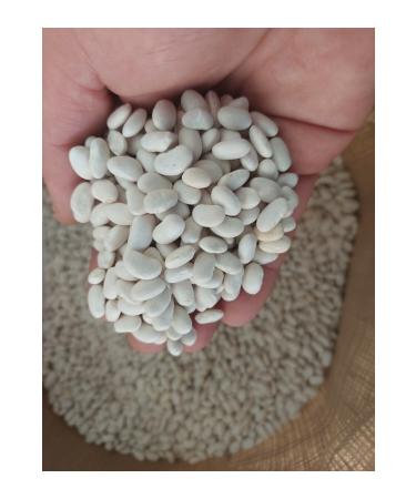 irfan legumes dry beans 3kg