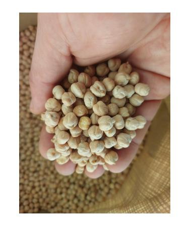 irfan legumes Chickpeas Village Product Local 2 Kg No Additives