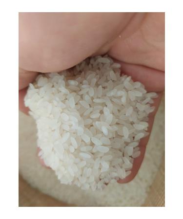 irfan bakliyat Village Bulgur 1 Kg Rice 1kg Green Lentil 1 Kg Red Lentil 1 Kg (Village Product) (Natural) - Buy Online on GoSupps.com